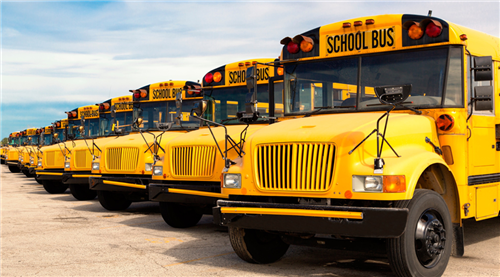 row of school buses